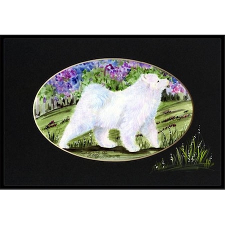 Carolines Treasures Carolines Treasures SS8059MAT 18 x 27 in. Samoyed Indoor Outdoor Mat SS8059MAT